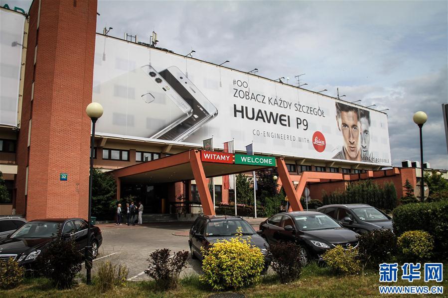 1466135344489830.jpg 4.jpg