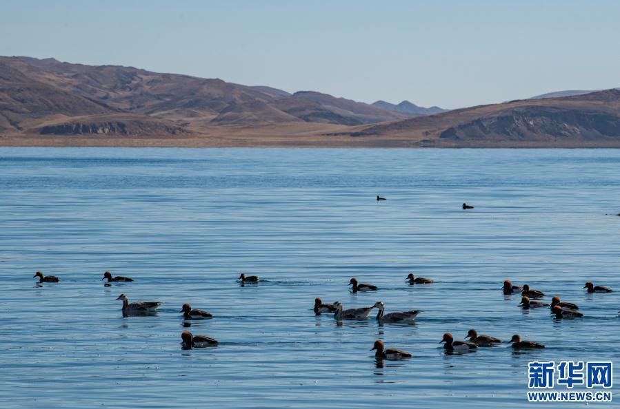 1610674920887111.jpg W020210114306694329940.jpg