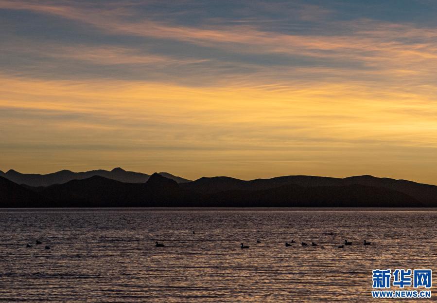 1610674925196384.jpg W020210114306694374921.jpg