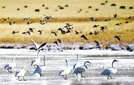 1639447218596411.jpg W020211214355397300699.jpg