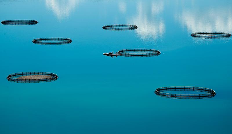 1642468375940532.jpg 6.jpg