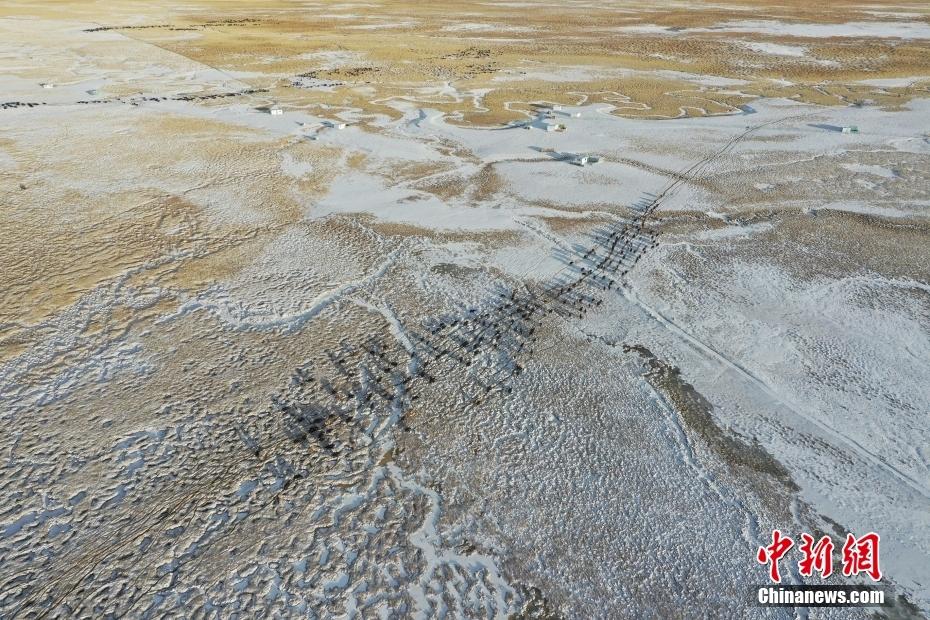 1643335647194801.jpg 6.jpg