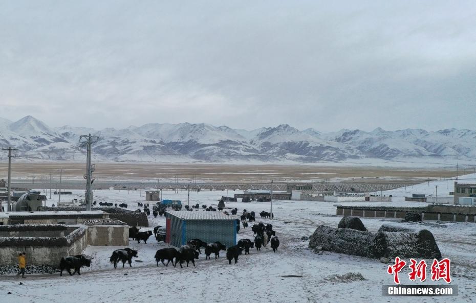 1643335653402521.jpg 7.jpg