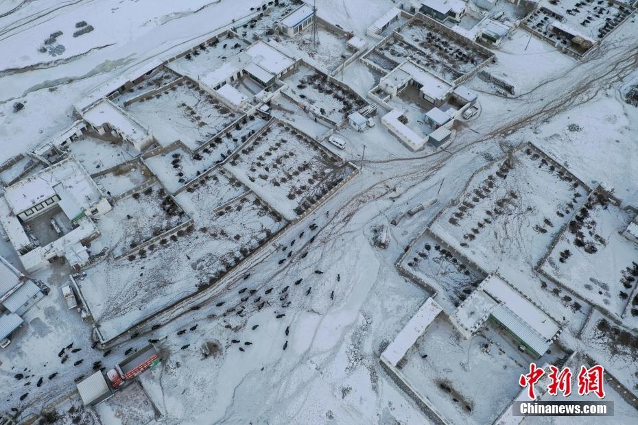 1643335659905295.jpg 8.jpg