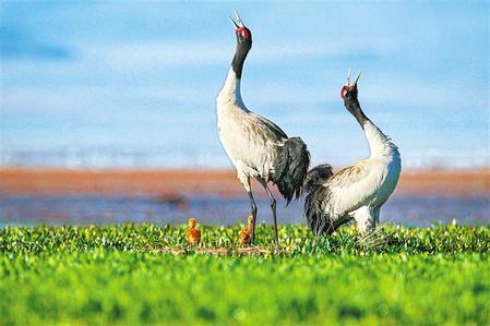 1646272465928918.jpg W020220302555178079117.jpg