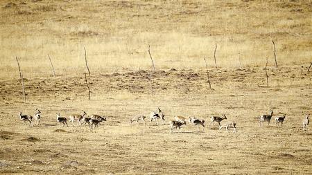 1646272471613618.jpg W020220302555178077704.jpg