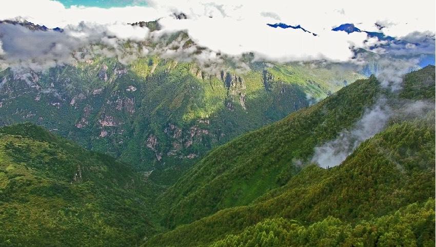 丹巴縣牦牛谷省級森林公園風光。丹巴縣委宣傳部供圖