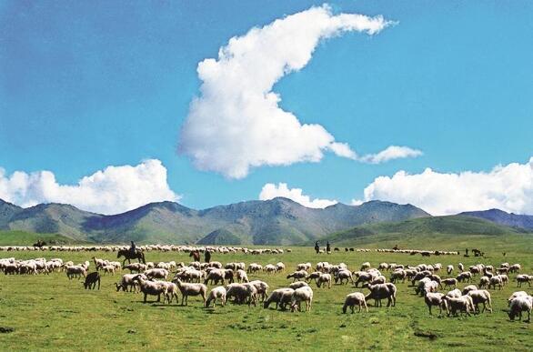 QQ截圖20240520071304