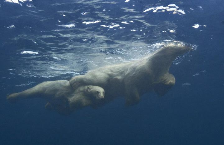 1454553013860376.jpg 1.jpg