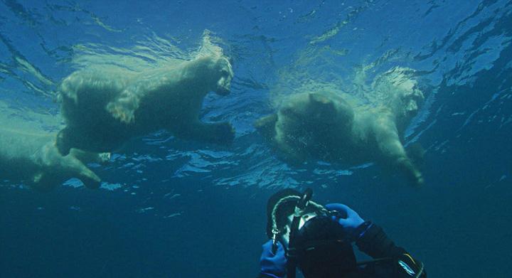 1454553090267303.jpg 2.jpg