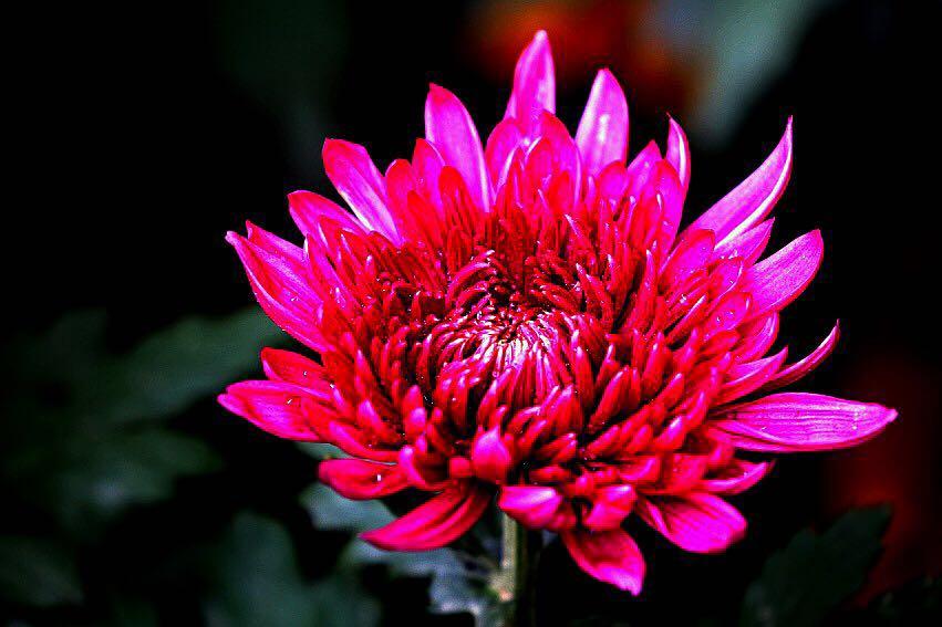 1474947601267337.jpg webwxgetmsgimg (6).jpg