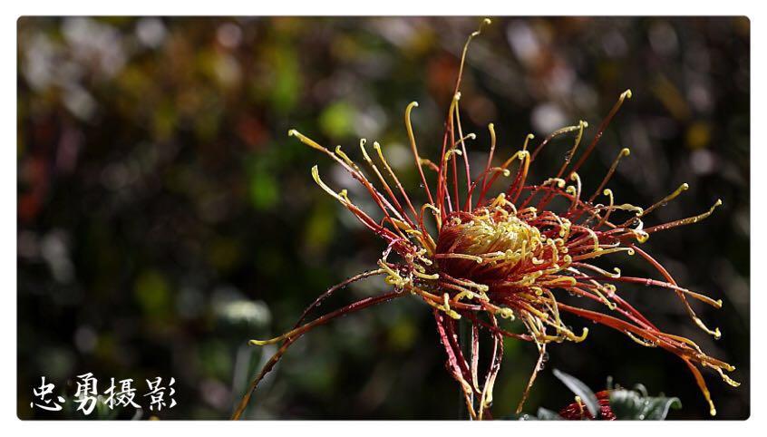 1474947617717129.jpg webwxgetmsgimg (2).jpg