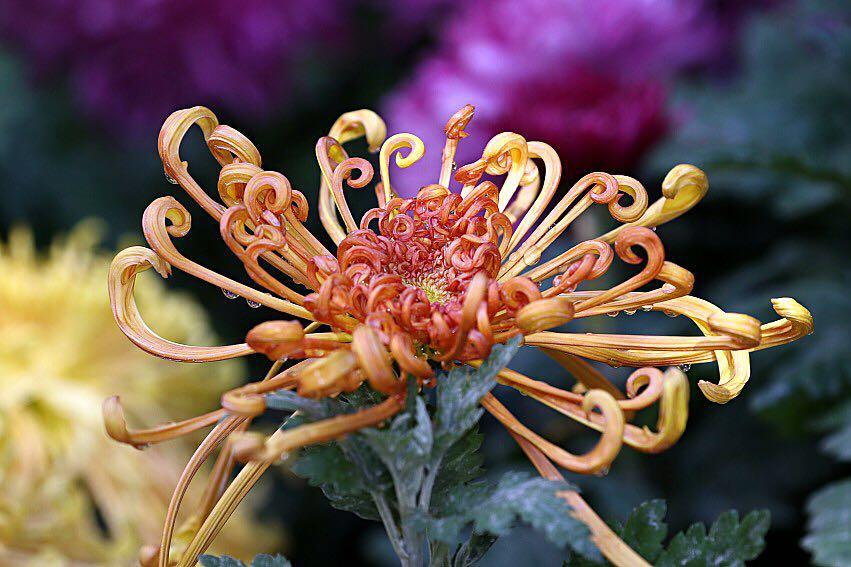 1474947634574816.jpg webwxgetmsgimg (4).jpg