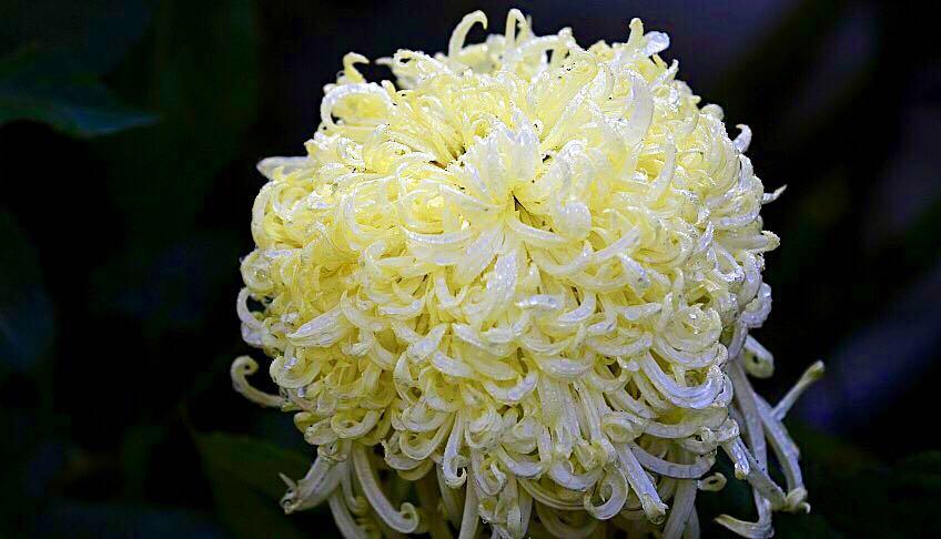 1474947675227742.jpg webwxgetmsgimg (10).jpg