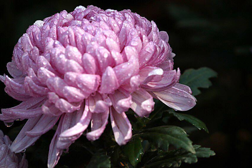 1474947741506794.jpg webwxgetmsgimg (16).jpg