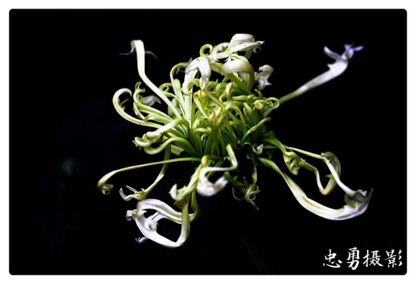 1474947780393574.jpg webwxgetmsgimg (1).jpg