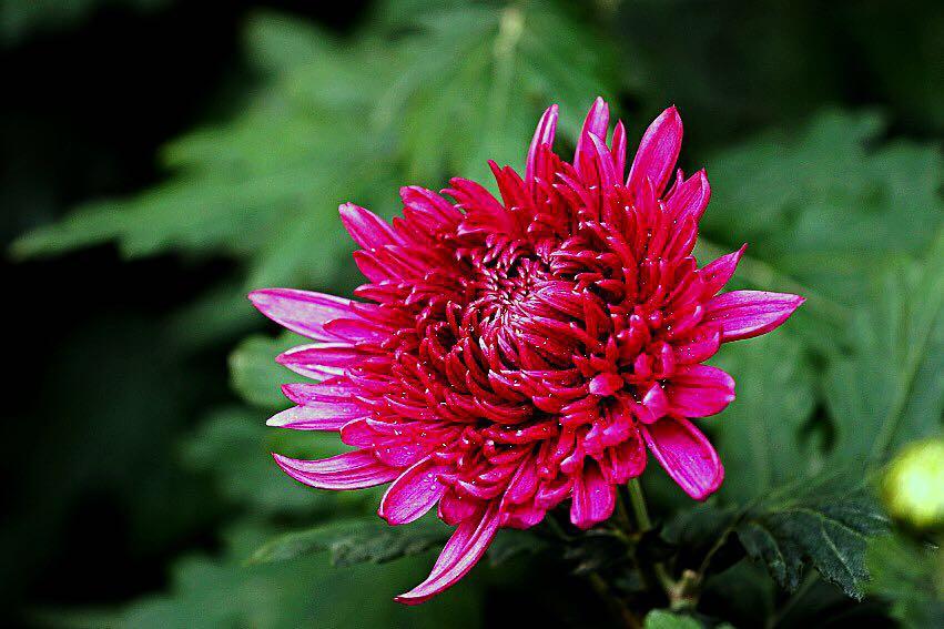 1474947834707516.jpg webwxgetmsgimg (7).jpg