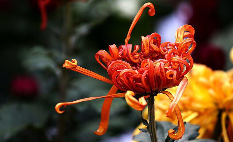 1474947852811505.jpg webwxgetmsgimg (9).jpg