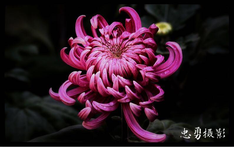 1474947906857044.jpg webwxgetmsgimg.jpg