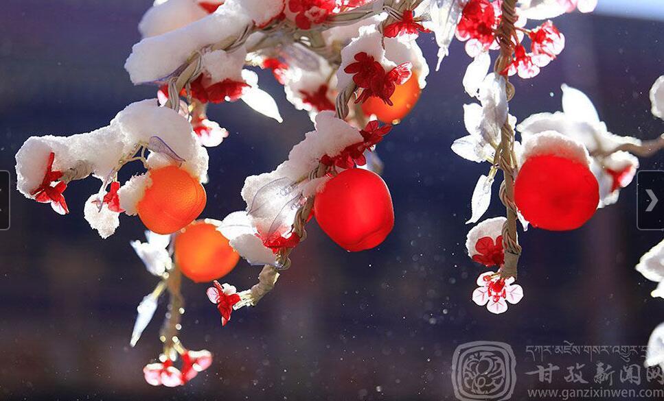 1485223618164359.jpg 2.jpg