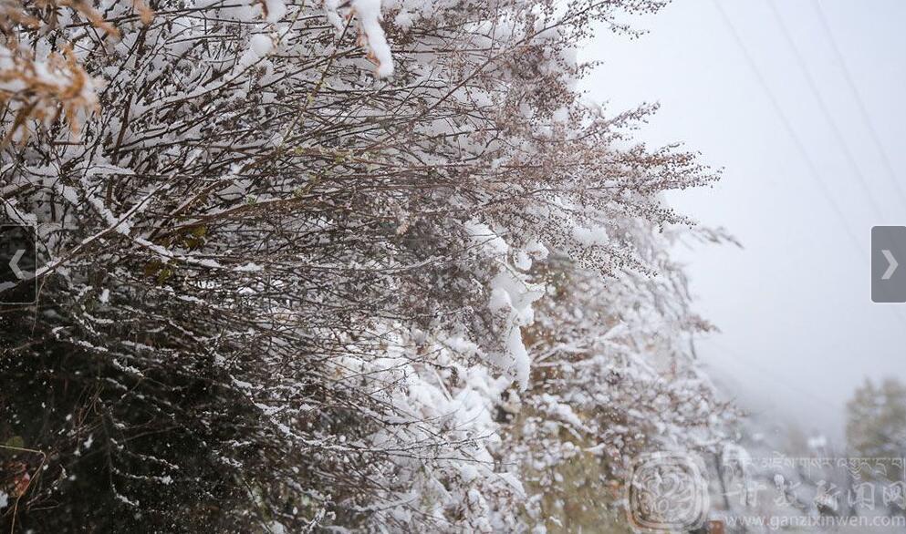 1485223652981413.jpg 3.jpg