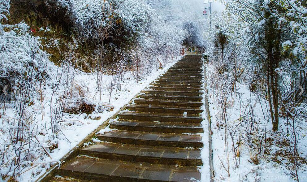 1485223690513709.jpg 1.jpg