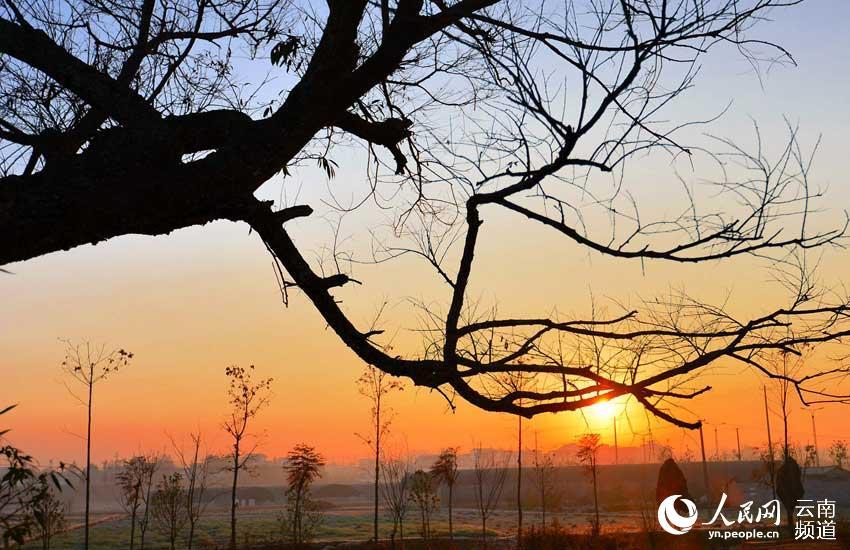 美麗昌寧掠影:冬季日出醉田園