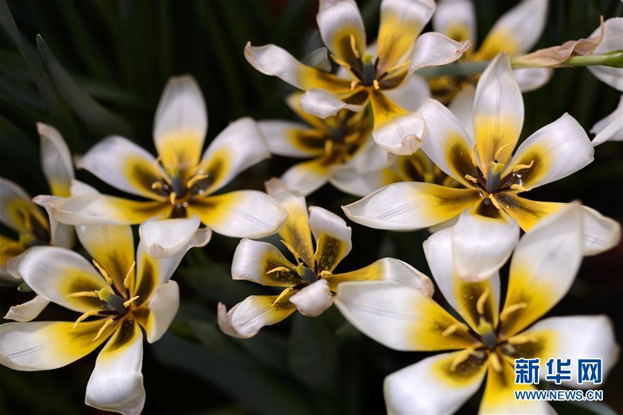 1488333574764315.jpg 1.jpg