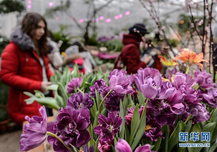 1488333597314206.jpg 1.jpg