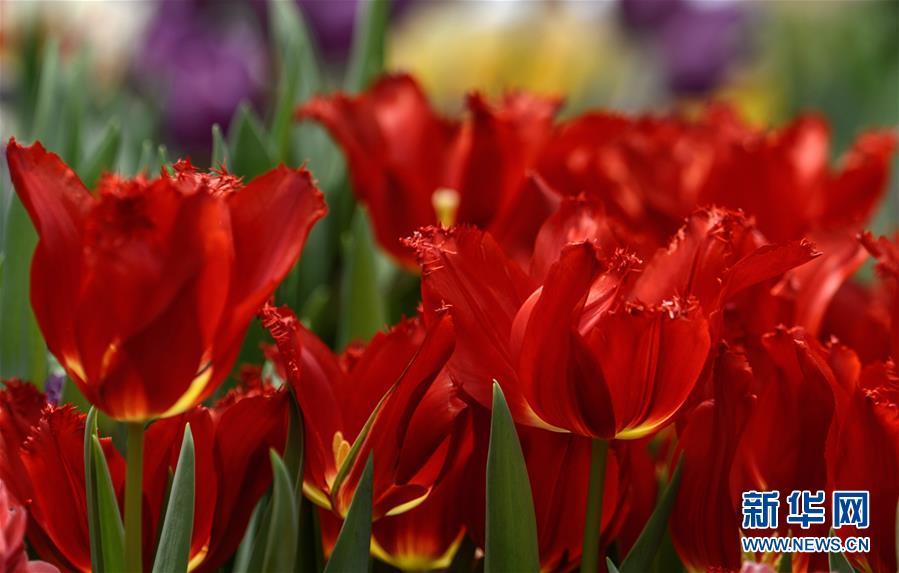 1488333615123400.jpg 1.jpg