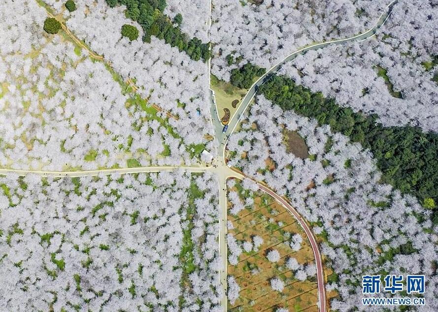 1490665521762224.jpg 1.jpg