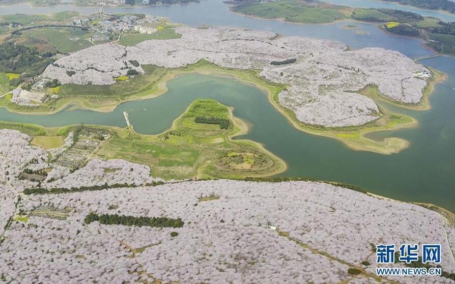 1490665545653474.jpg 1.jpg