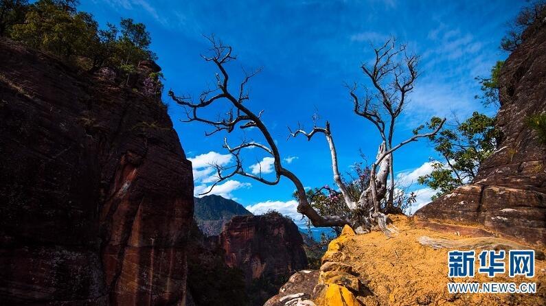 1493085277758005.jpg 1.jpg