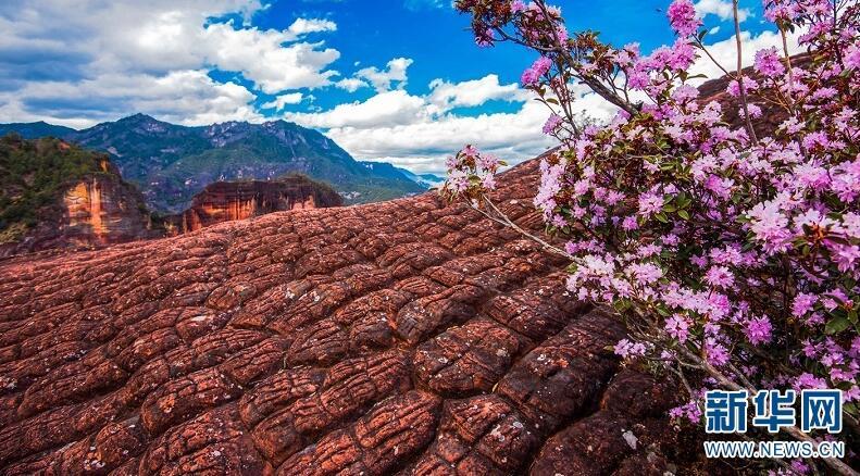 1493085310555780.jpg 1.jpg