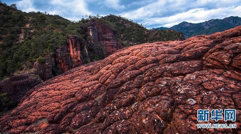 1493085369547361.jpg 1.jpg