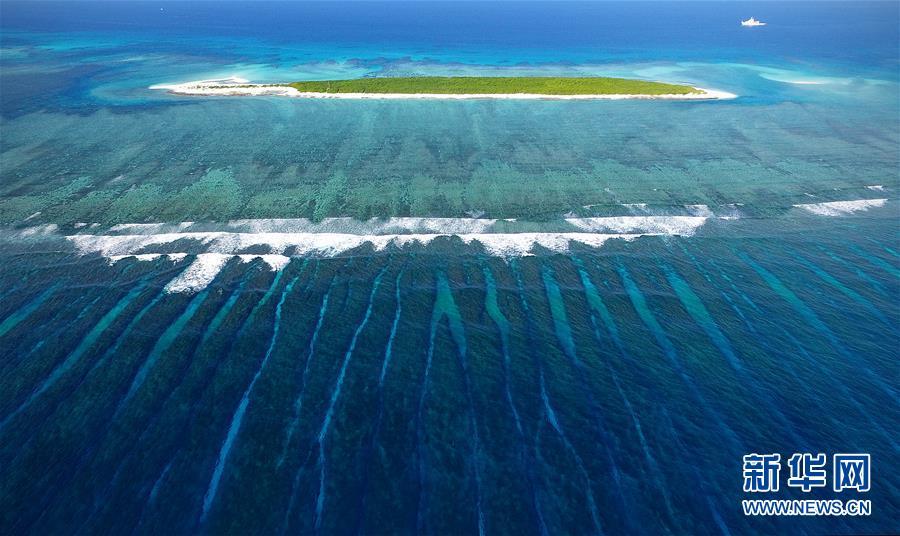 1493171853430898.jpg 1.jpg