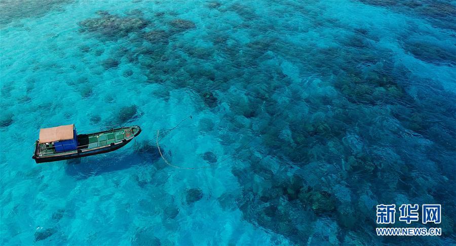 1493171883294553.jpg 1.jpg