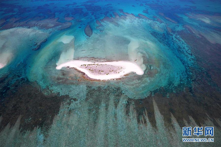 1493171907778186.jpg 1.jpg