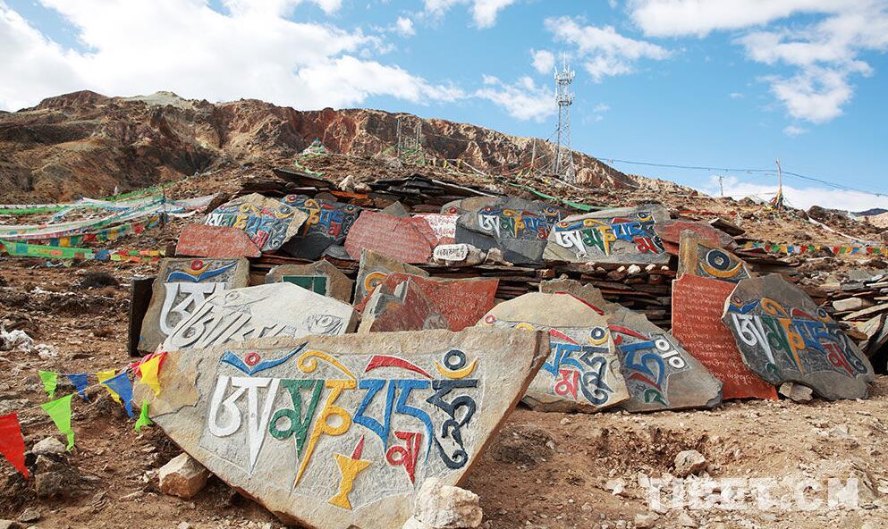 1493274223361440.jpg 1.jpg