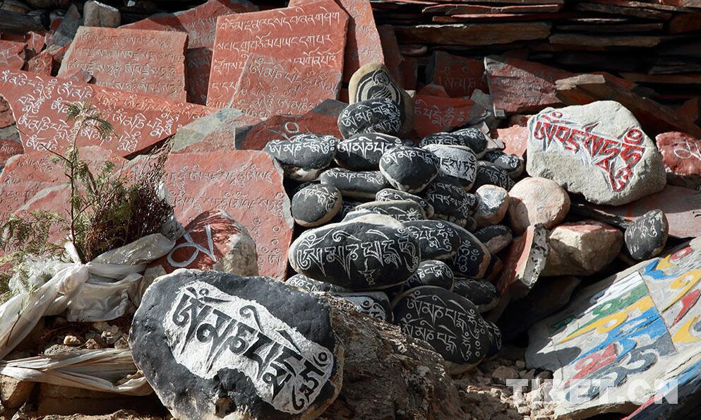 1493274263925837.jpg 1.jpg