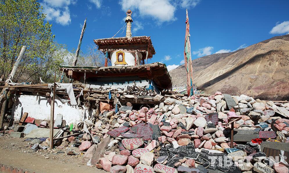 1493274314374167.jpg 1.jpg