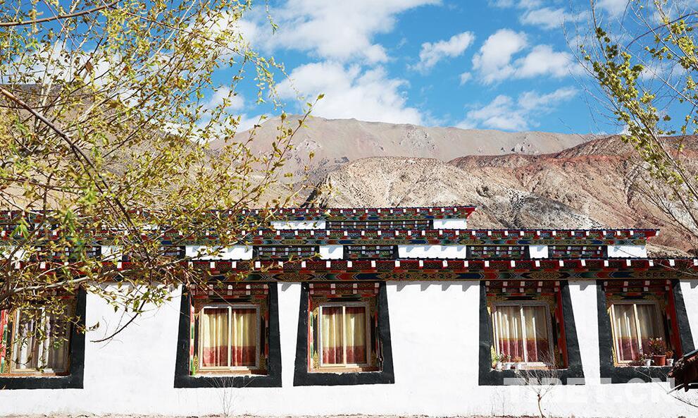 1493274337239353.jpg 1.jpg