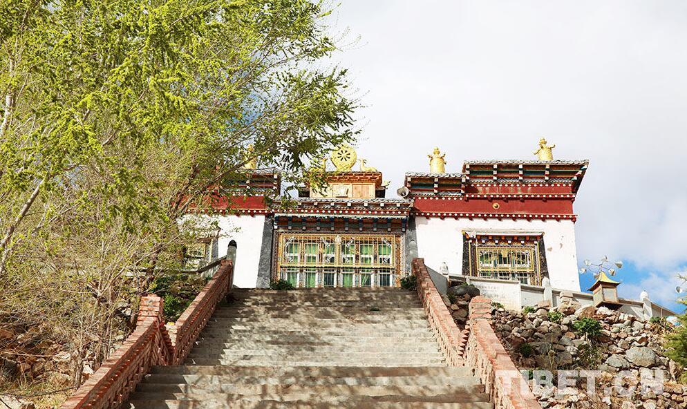 1493274359712681.jpg 1.jpg