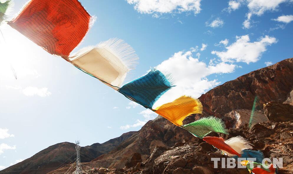 1493274383586940.jpg 1.jpg