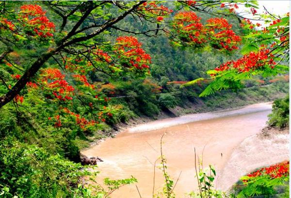 1494899105144583.jpg 2.jpg