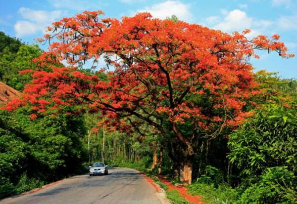 1494899111341920.jpg 3.jpg