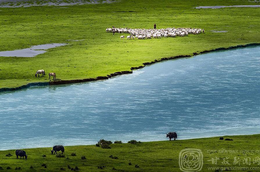 1495072847397445.jpg 6.jpg