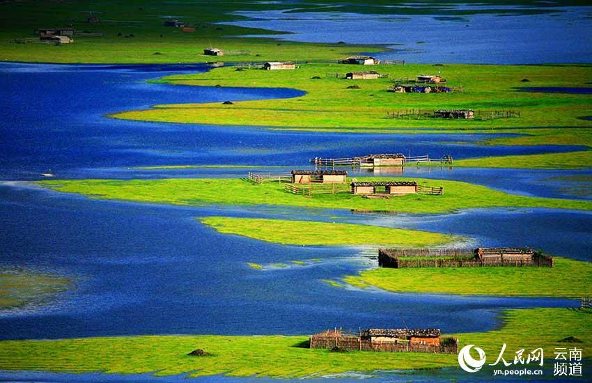 1496714321792040.jpg 1.jpg