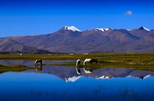 1497512220235521.jpg 2.jpg