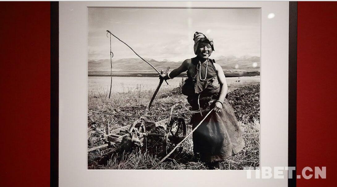 1497858345156032.jpg 1.jpg